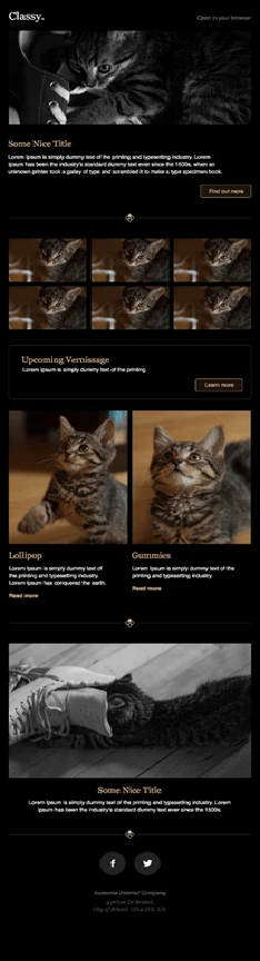 visual email newsletter