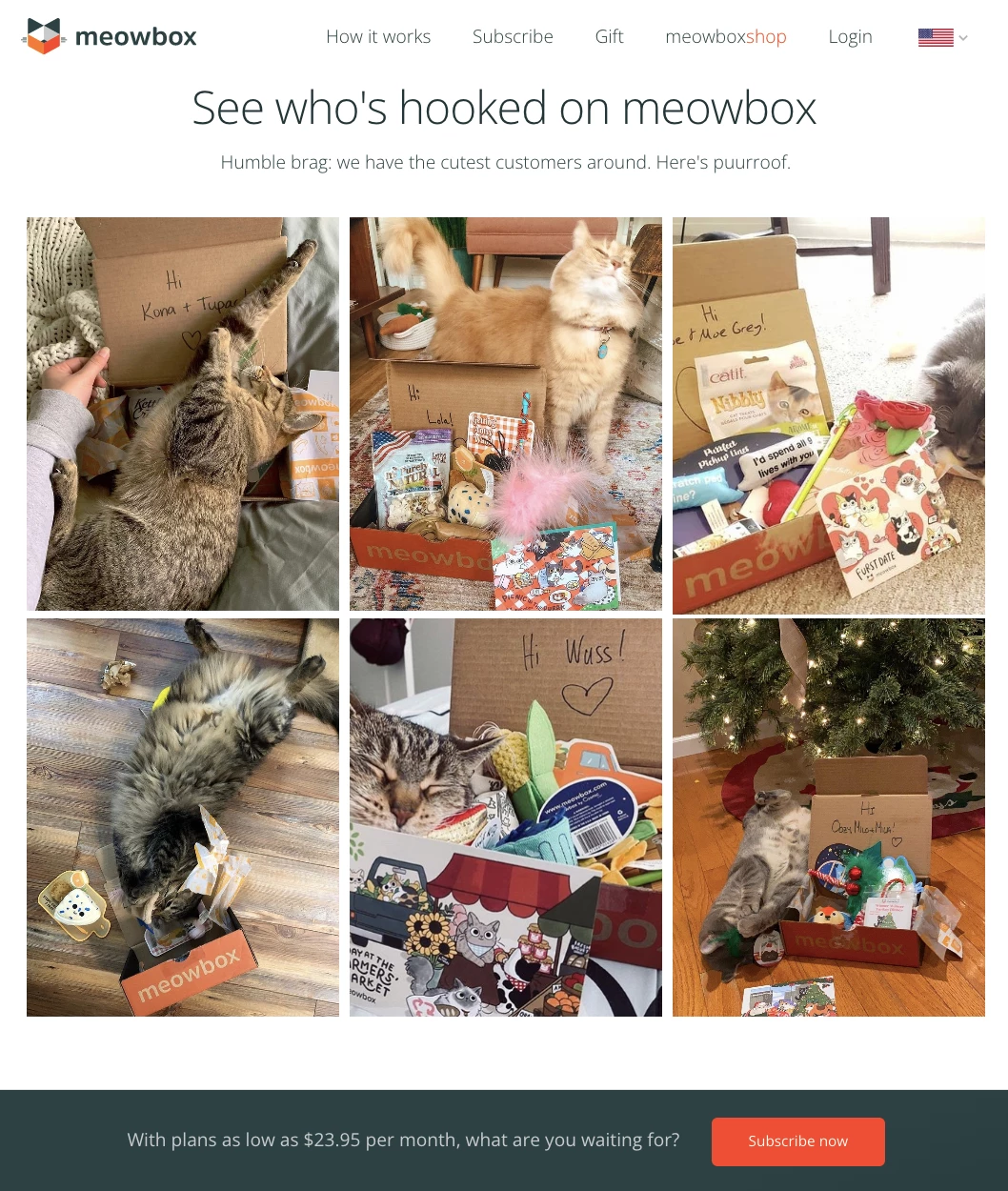 example of user generated content for ecommerce