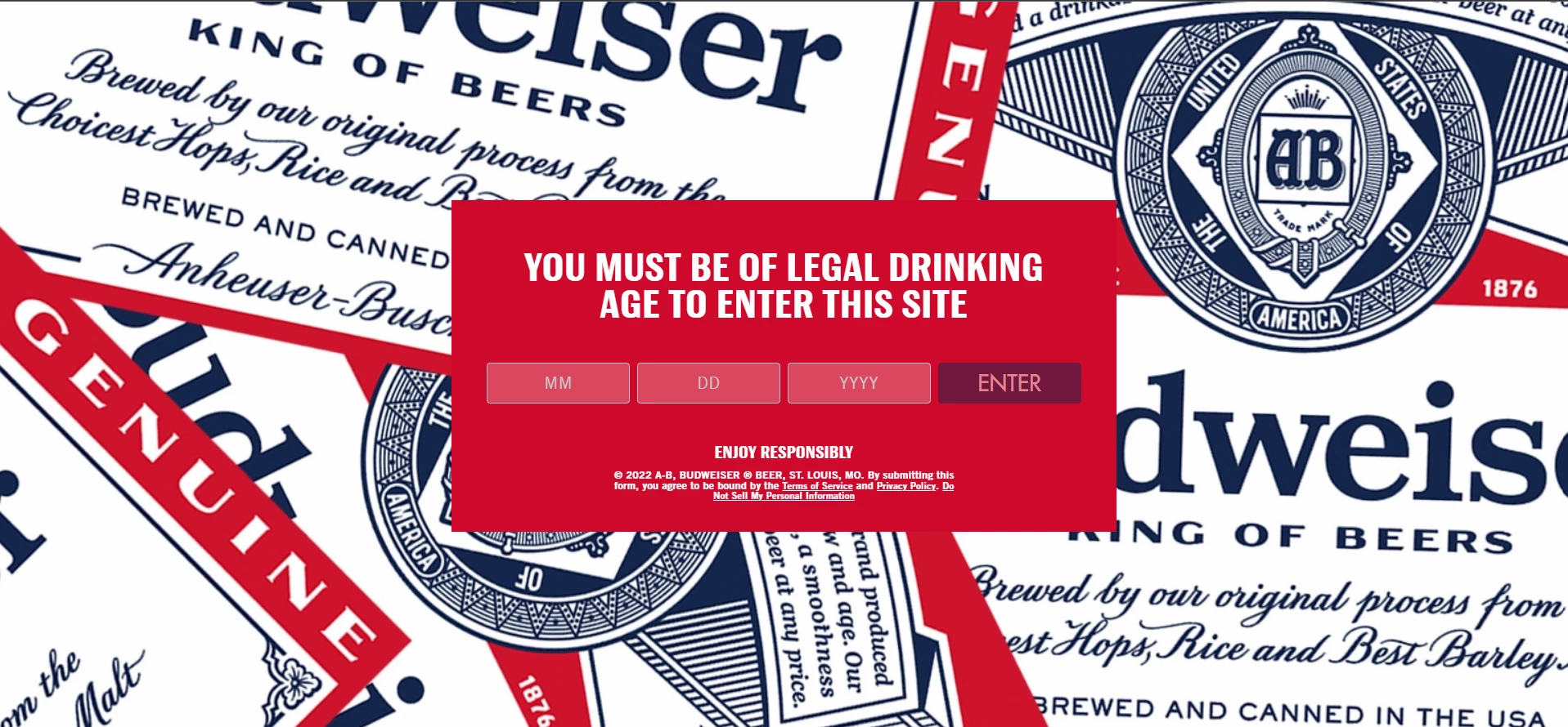 Age restriction splash window by Budweiser
