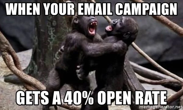 Email meme