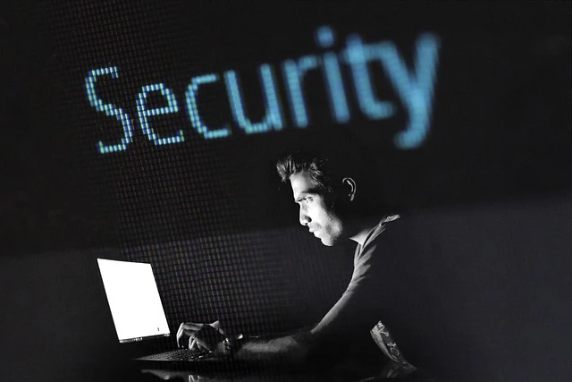 Image depicting online security