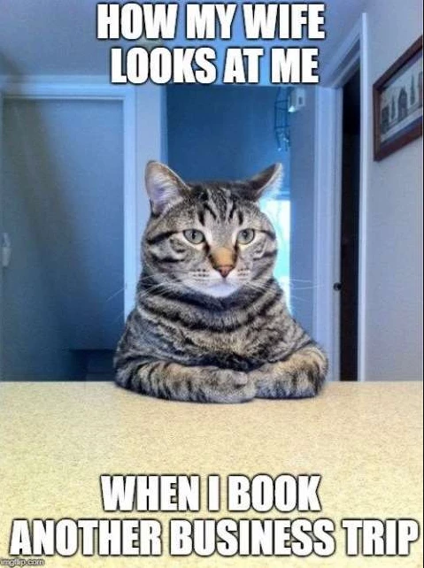 Meme about business trips for entrepreneurs