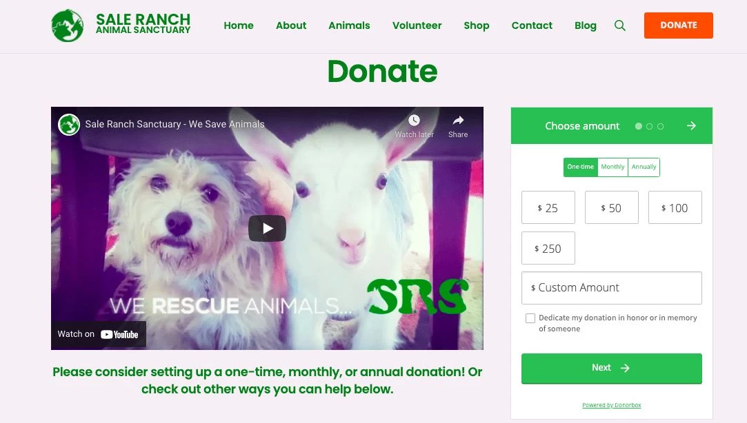 screenshot of a pet rescue campaign video
